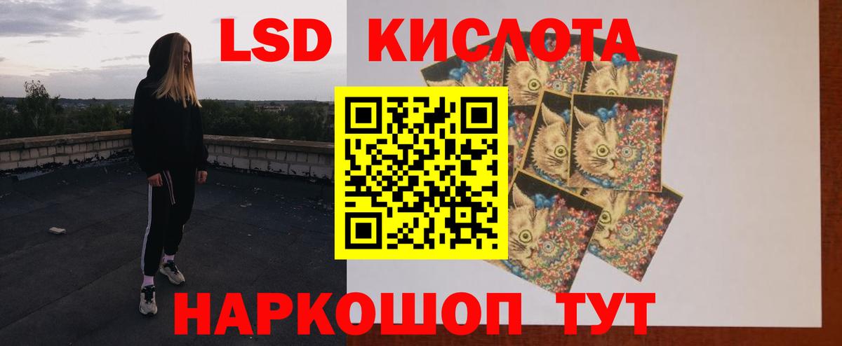 Лсд 25 экстази  Лсд 25 экстази ecstasy  Новозыбков  Вход с VPN  ЛСД экстази ecstasy 