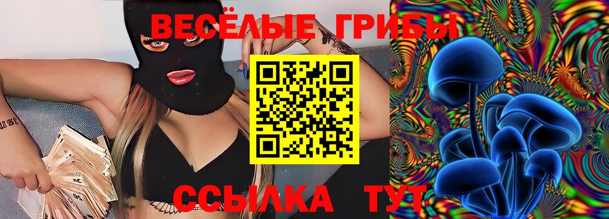Новозыбков  Псилоцибиновые грибы Psilocybe  где продают   Вход с VPN 